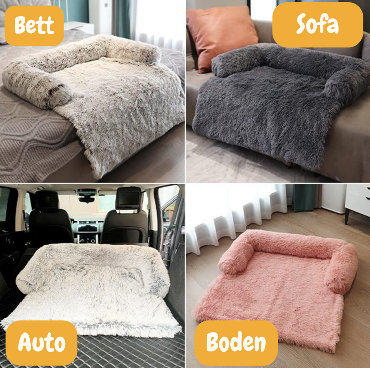 Foxypets Sofabett Aktion